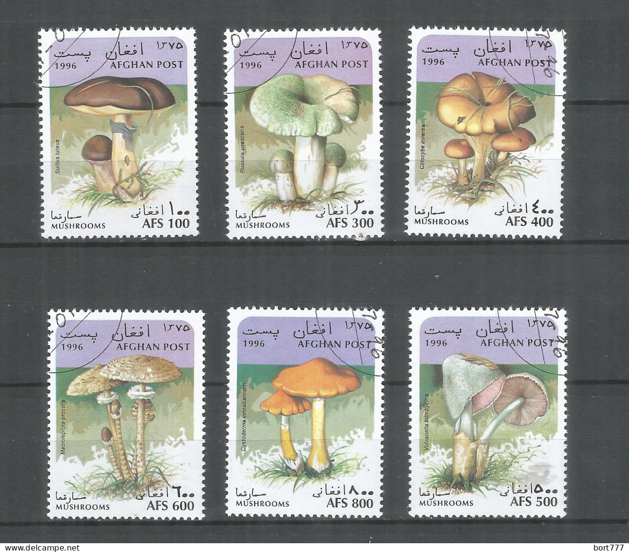 Afghanistan 1996 Year , Used Stamps Set Mushrooms - Afganistán