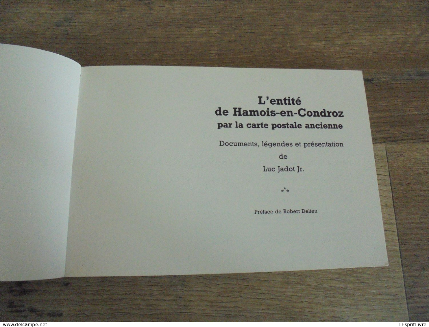 L' ENTITE DE HAMOIS EN CONDROZ Jadot Régionalisme Achet Champion Emptinne Mohiville Natoye Schaltin Scoville Scy - Belgium