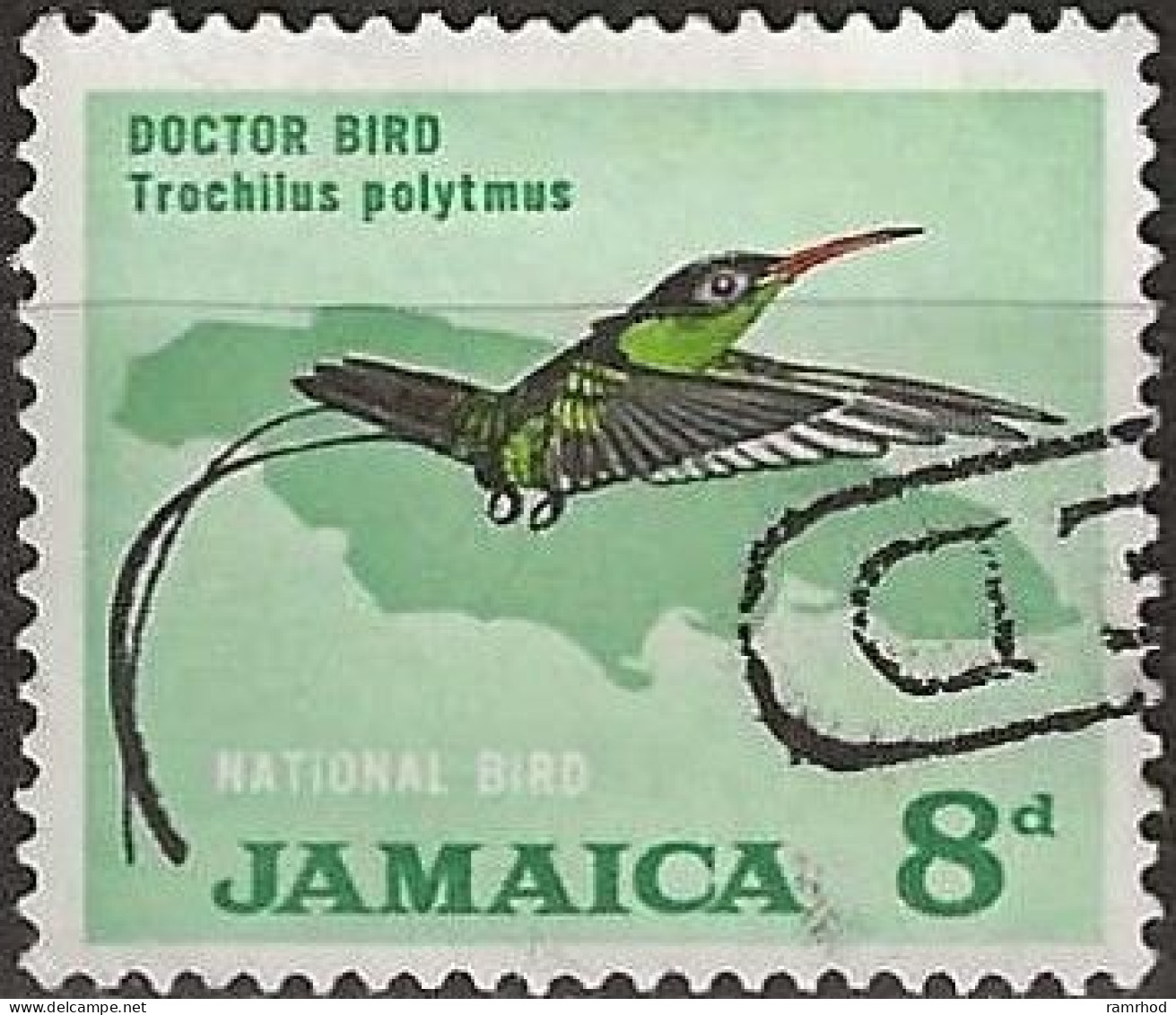 JAMAICA 1964  Streamertail (Bird) - 8d. - Multicoloured FU - Jamaique (1962-...)
