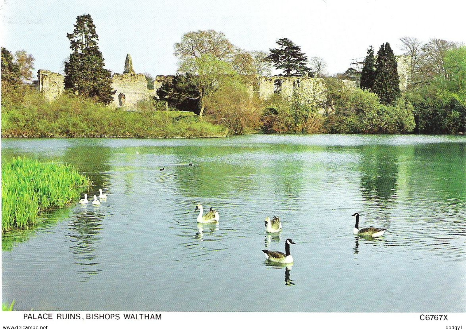 PALACE RUINS, BISHOPS WALTHAM, HAMPSHIRE, ENGLAND. UNUSED POSTCARD Mm4 - Andere & Zonder Classificatie