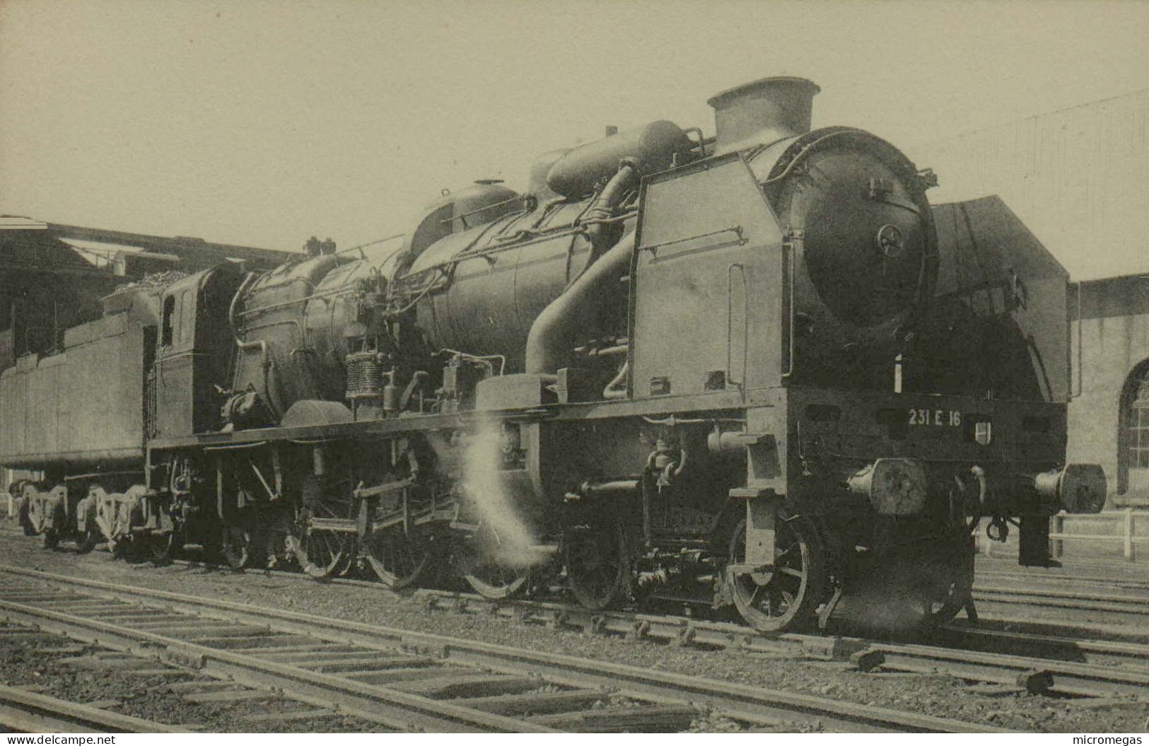 Locomotives Du Nord - Machine 231 E 16 - Treinen