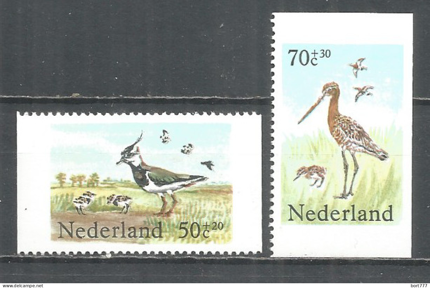 NETHERLANDS 1984 Year , Mint Stamps MNH (**) Birds - Unused Stamps