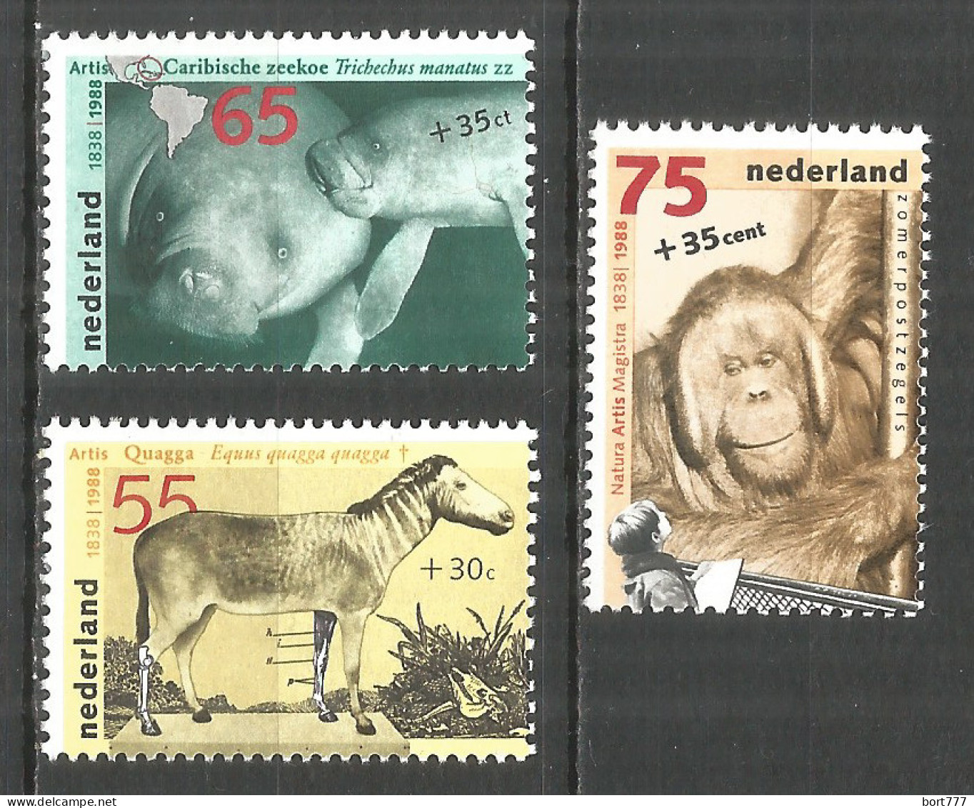 NETHERLANDS 1988 Year , Mint Stamps MNH (**) Animals - Neufs