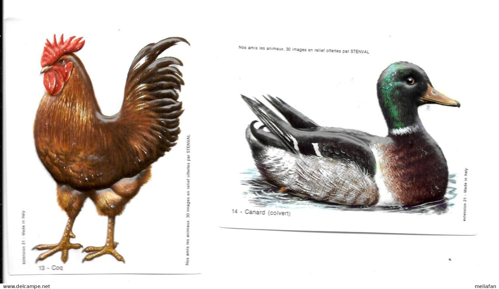 BT13 - IMAGES THERMOFORMEES STENVAL - BASSE COUR - COQ CANARD - Other & Unclassified