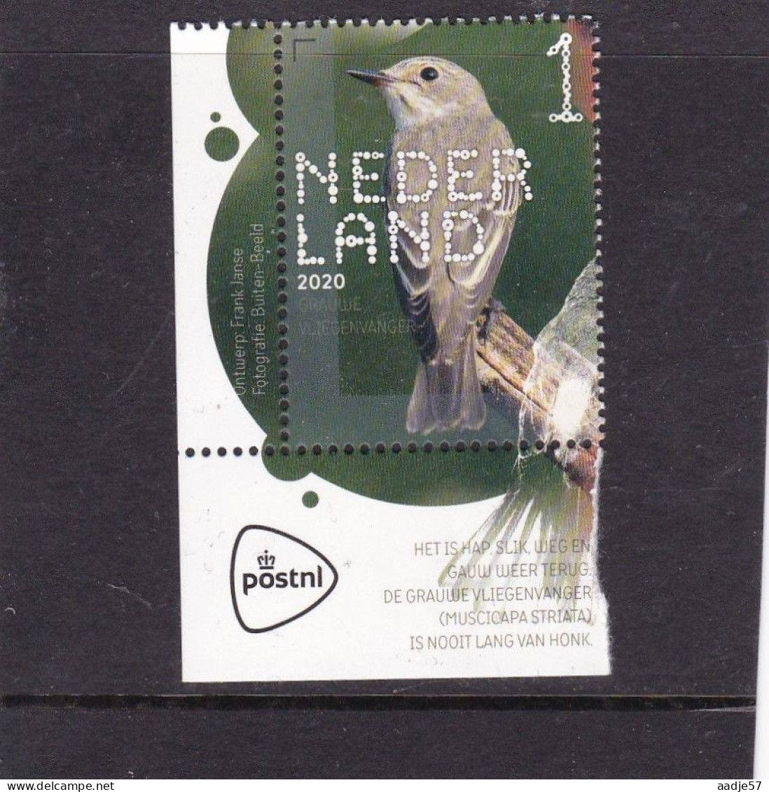 Netherlands Pays Bas 2020 Grauwe Vliegenvanger  MNH** - Unused Stamps