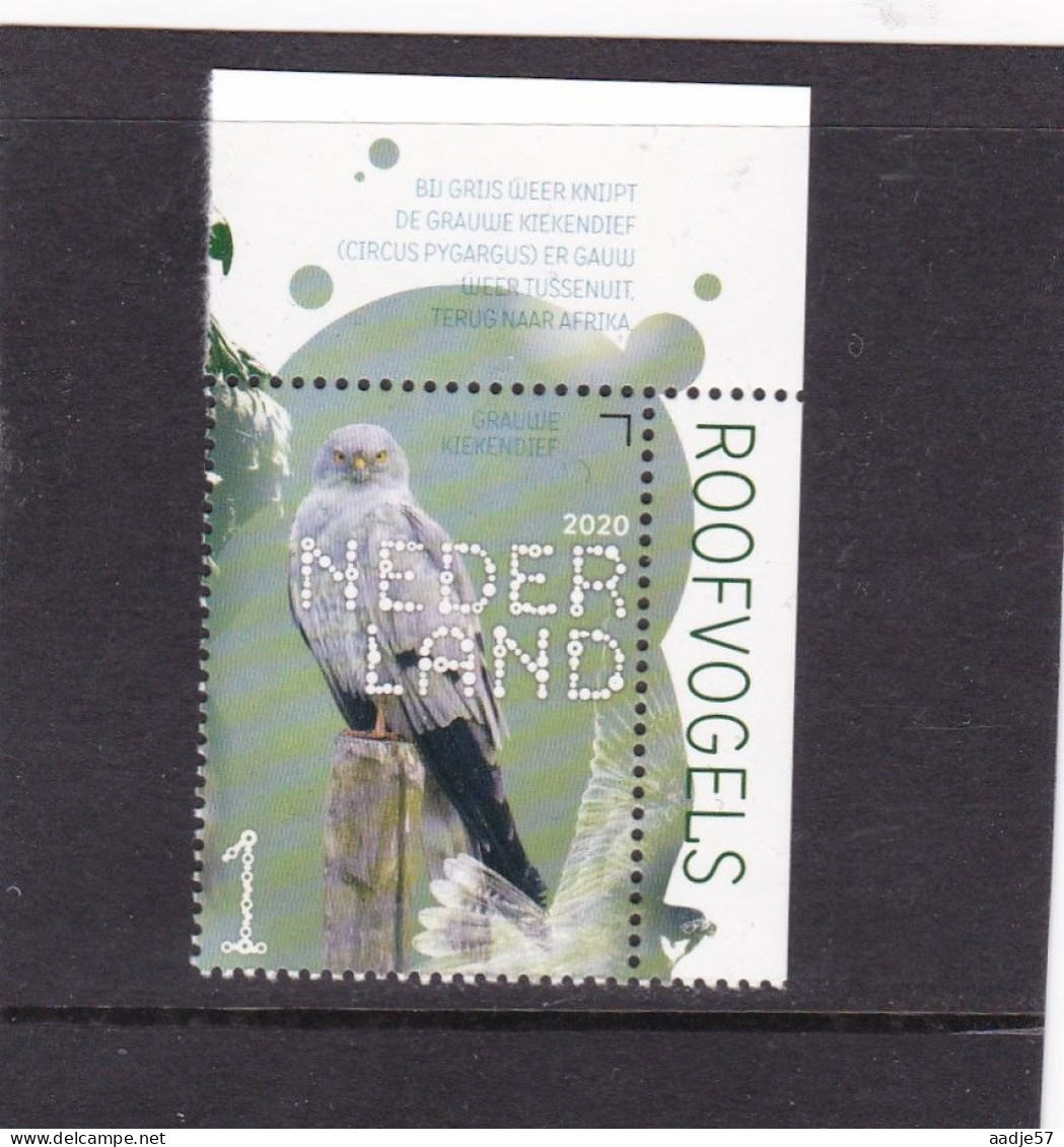 Netherlands Pays Bas 2020 Grauwe Kiekendief Harrier MNH** - Unused Stamps