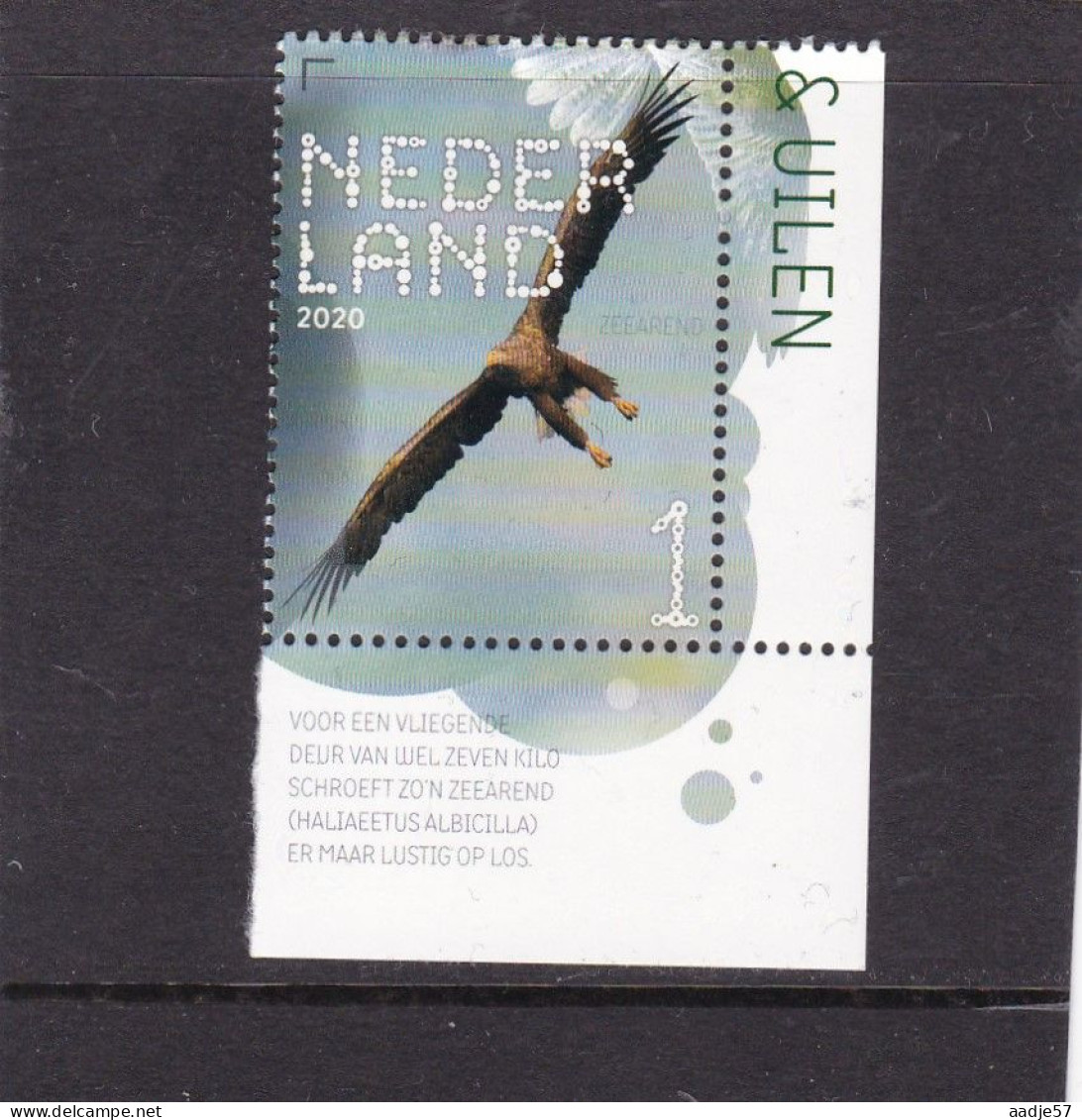 Netherlands Pays Bas 2020 Zeearend White-tailed Eagle MNH** - Neufs