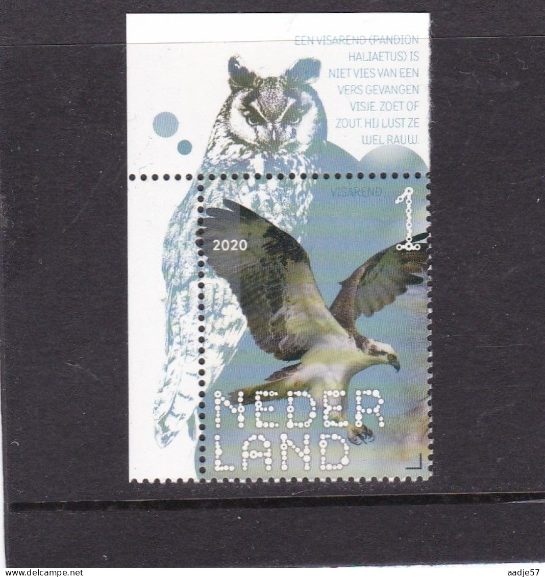 Netherlands Pays Bas 2020 Visarend Osprey MNH** - Unused Stamps