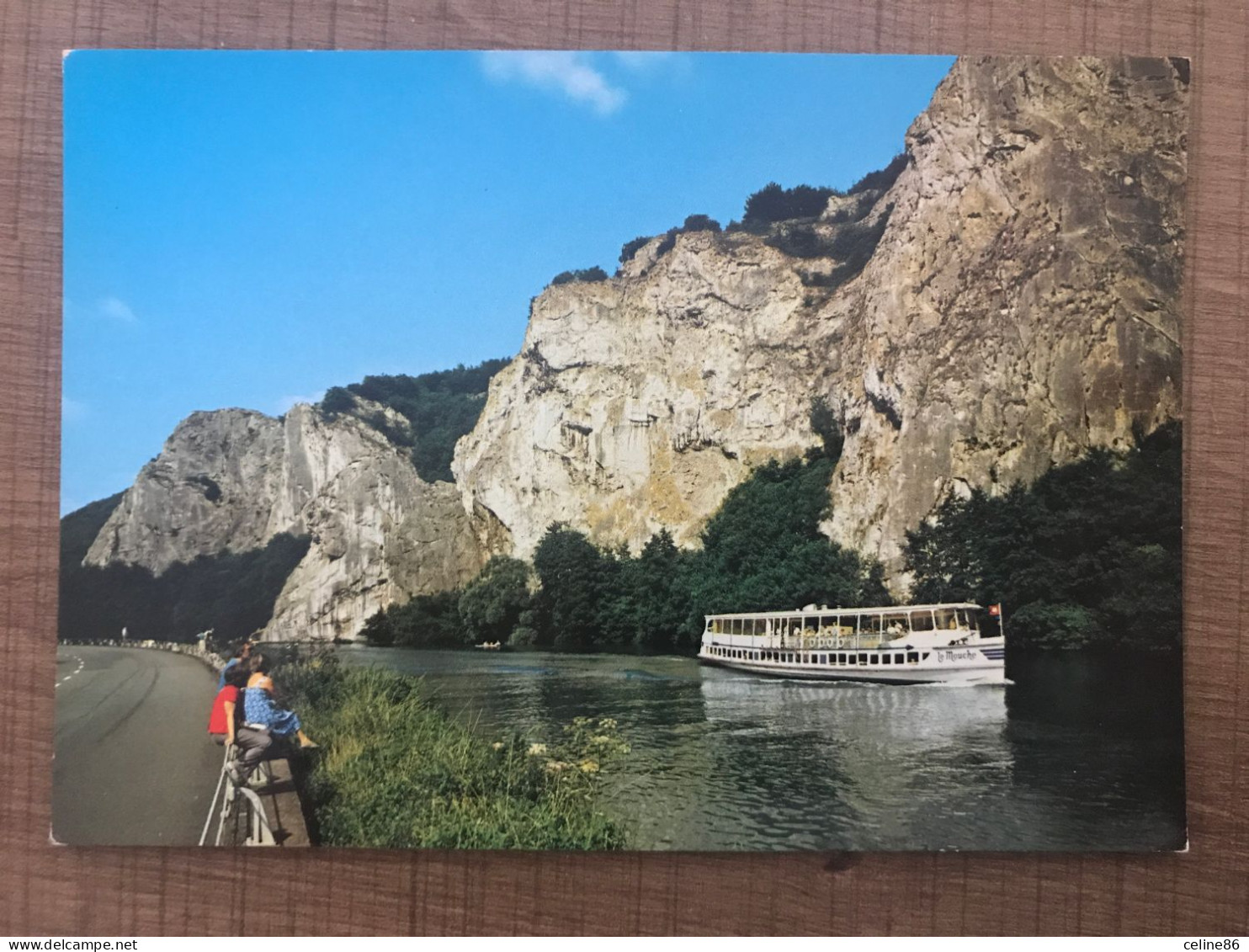 Croisières Mosanes En "bateaux Mouches" DINANT - Dinant