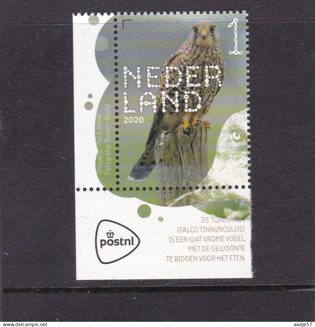 Netherlands Pays Bas 2020 Torenvalk Kestrel MNH** - Unused Stamps