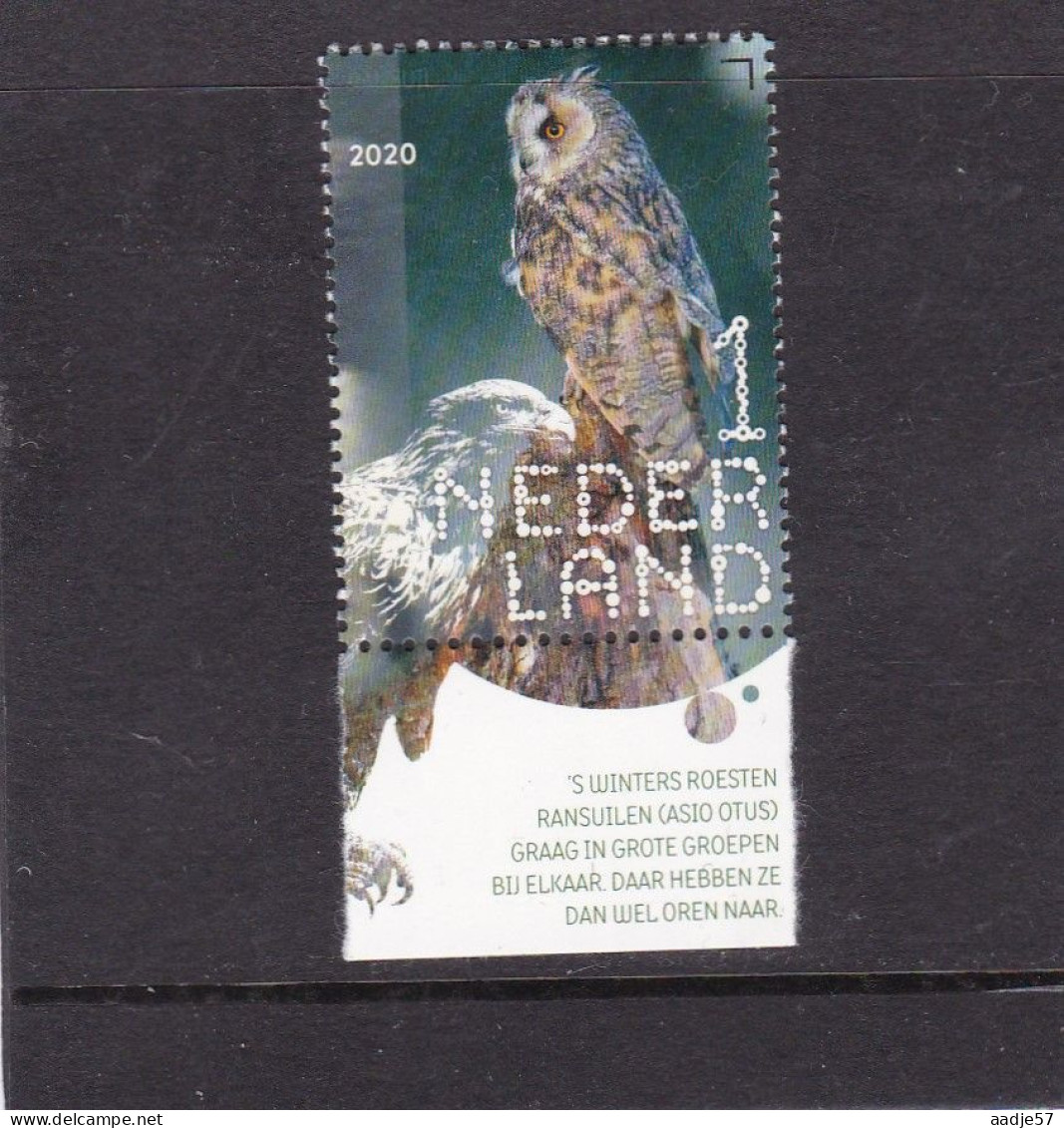 Netherlands Pays Bas 2020 Ransuil Long-eared Owl MNH** - Nuevos