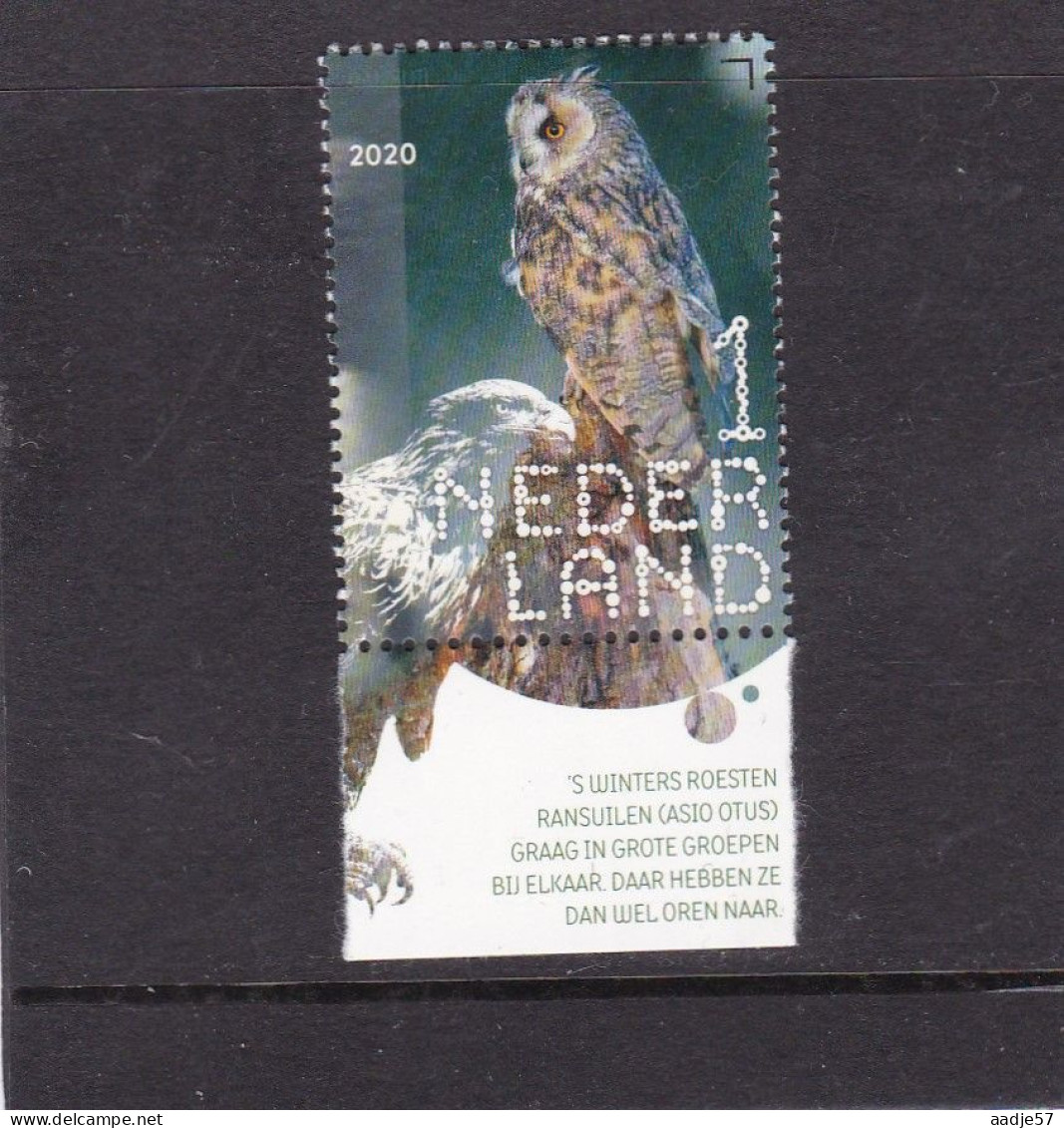 Netherlands Pays Bas 2020 Ransuil Long-eared Owl MNH** - Ongebruikt