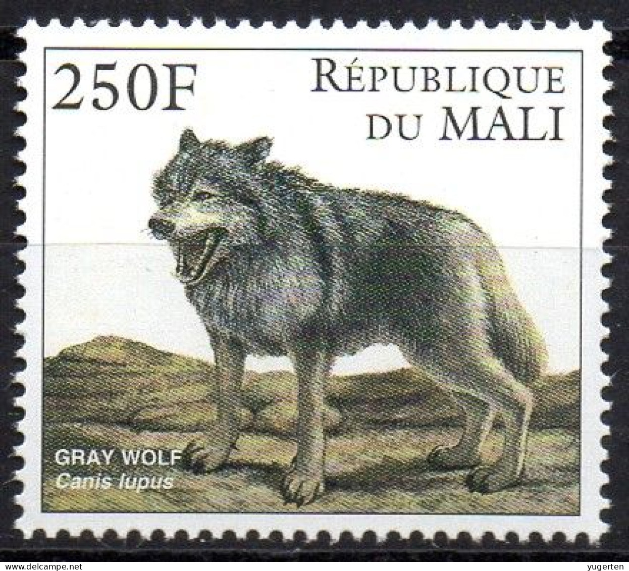 MALI 1997 -1v - MNH - Canis Lupus - Wolf - Wolfs - Loup - Loups - Wolf Wölfe Lobo Lobos Lupo - Lupi Endangered - Raubkatzen
