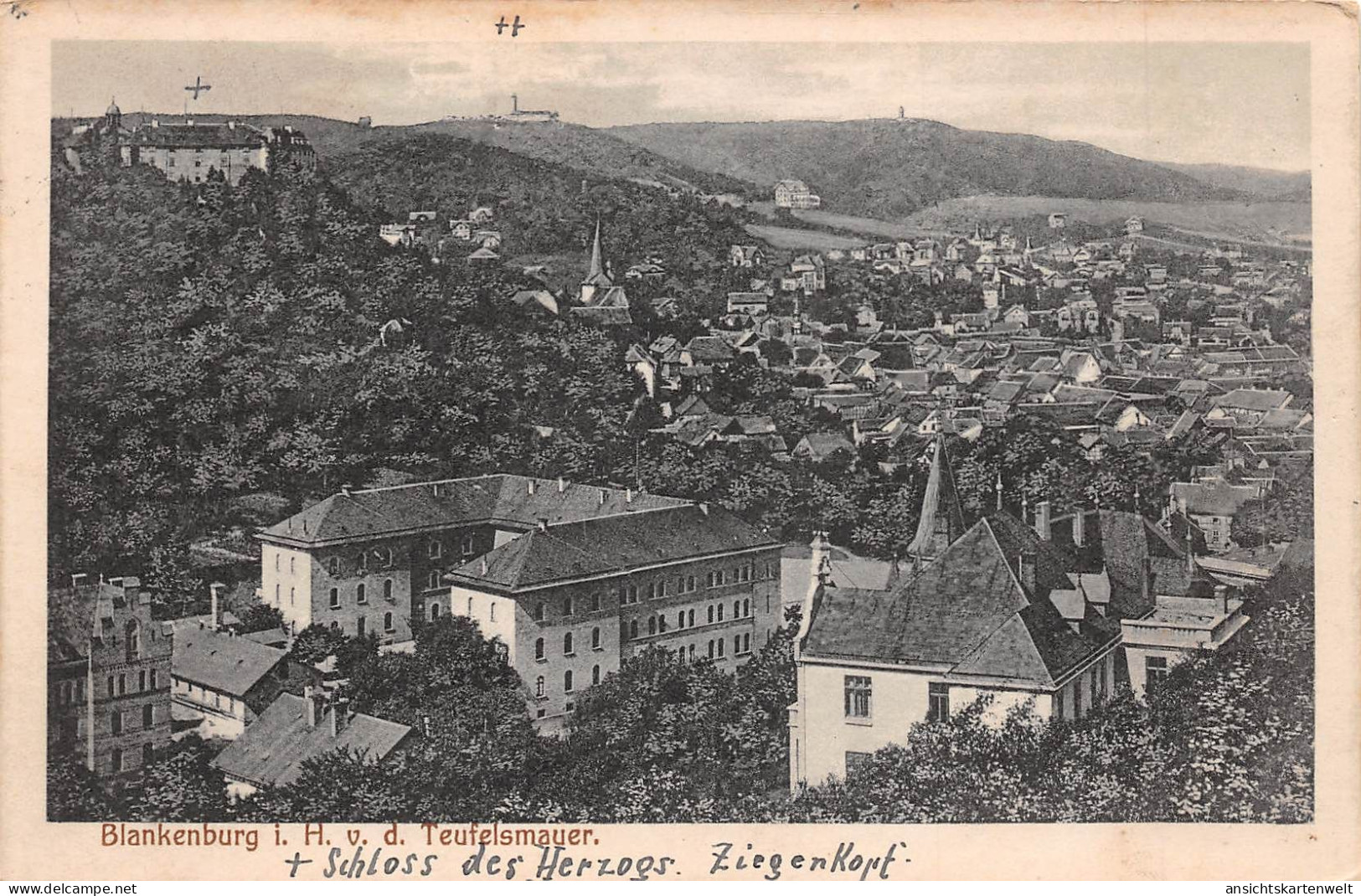 Blankenburg/Harz Panorama Feldpgl1918 #171.718 - Other & Unclassified