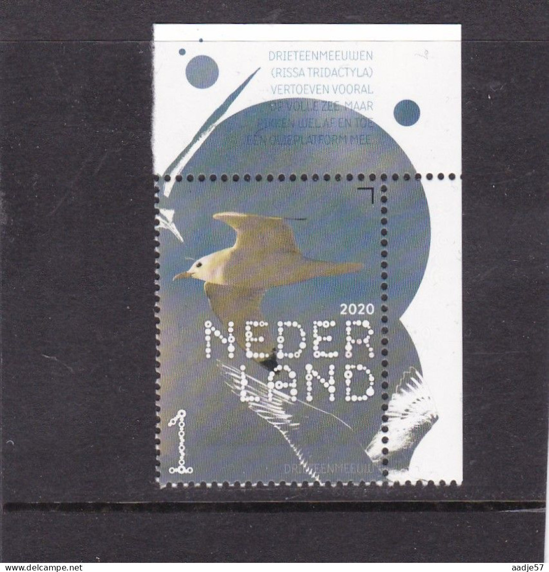 Netherlands Pays Bas 2020 Drieteenmeeuw Black-legged Kittiwake MNH** - Nuevos