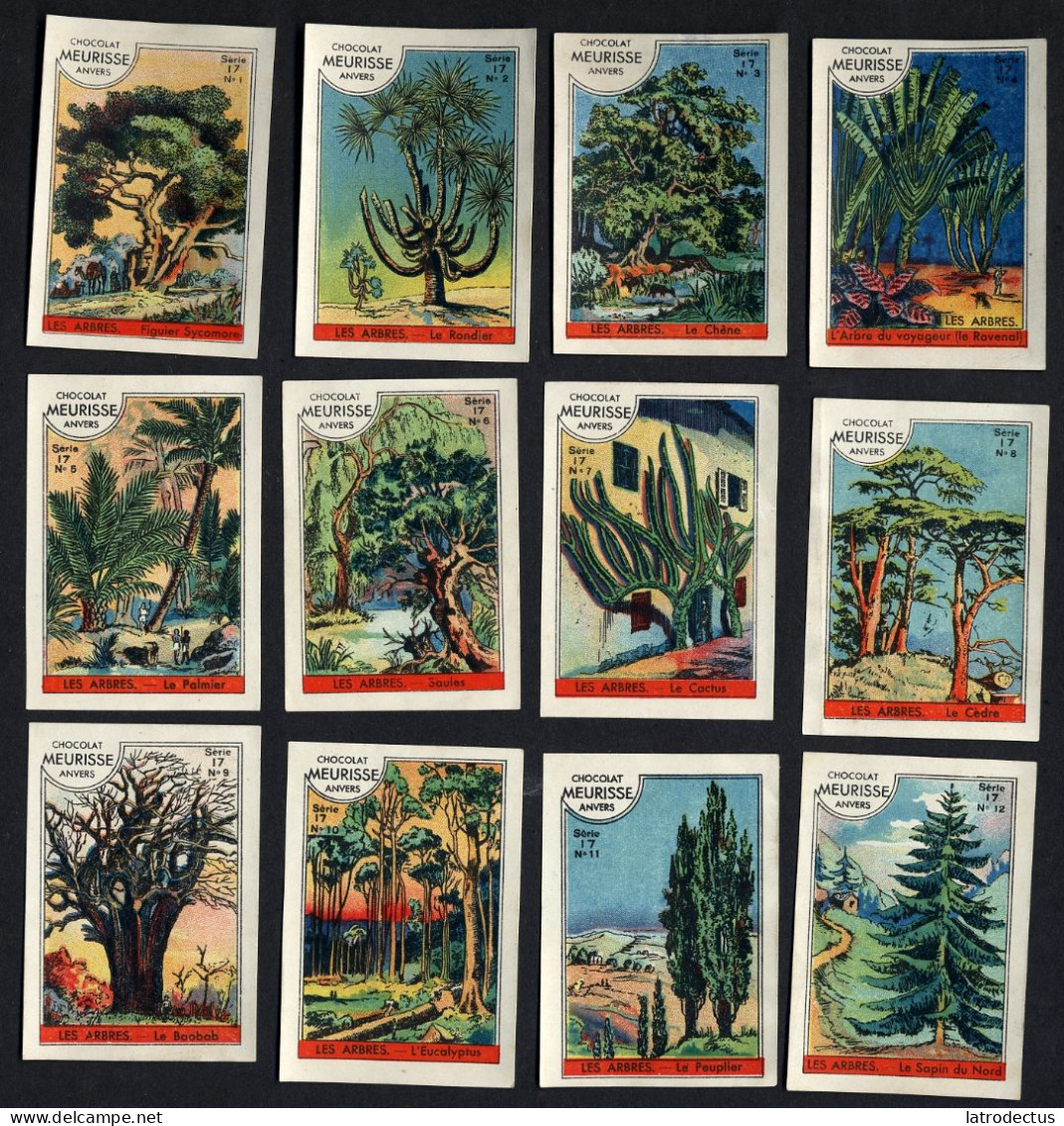 Meurisse - Ca 1930 - 17 - Les Arbres, Trees - Full Serie - Sonstige & Ohne Zuordnung
