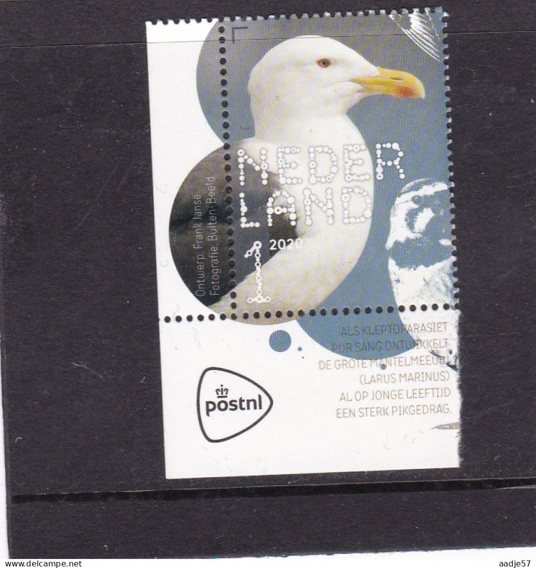 Netherlands Pays Bas 2020 Mantelmeeuw Black-backed Gull MNH** - Unused Stamps