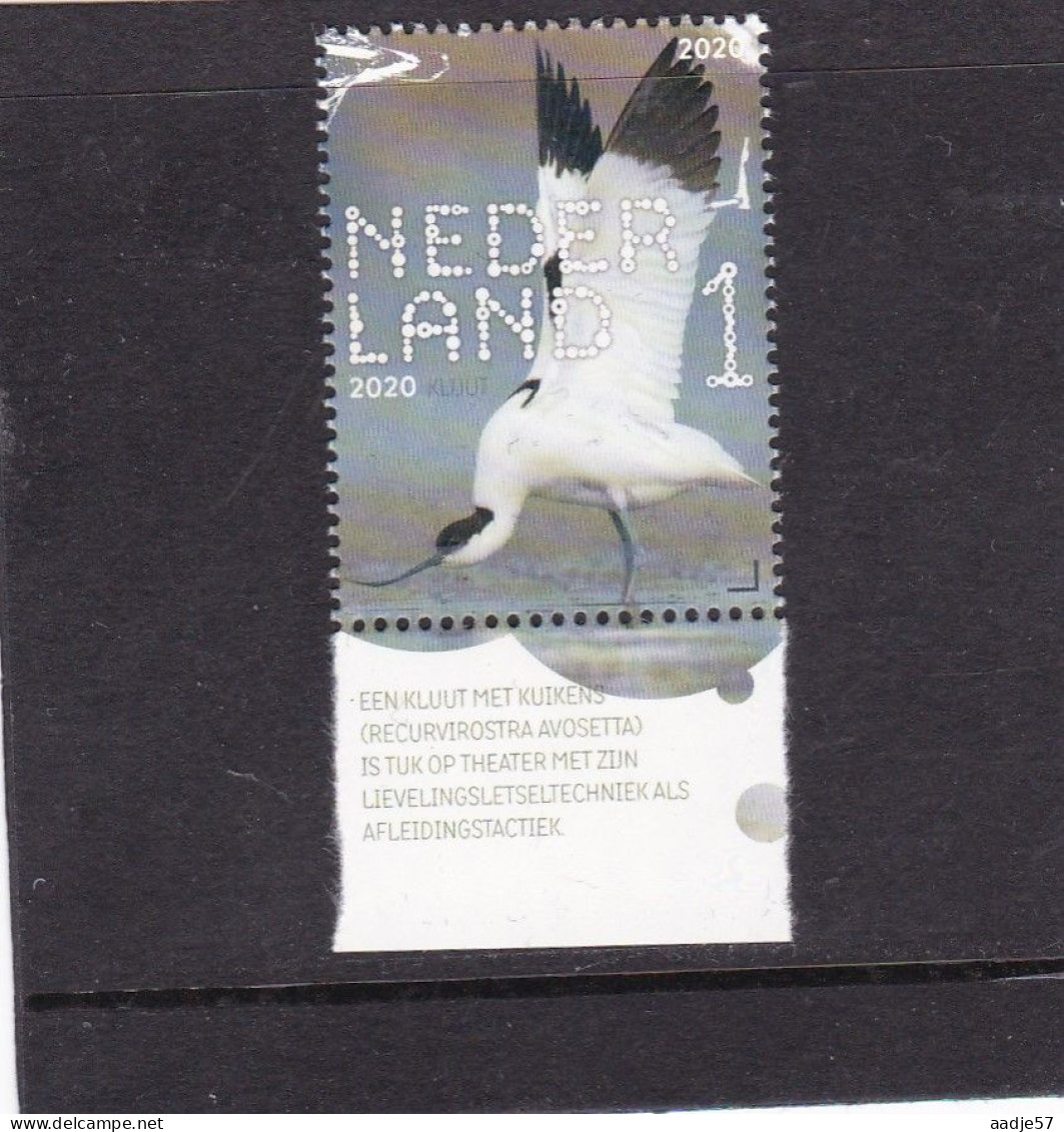 Netherlands Pays Bas 2020 Kluut Avocet MNH** - Unused Stamps