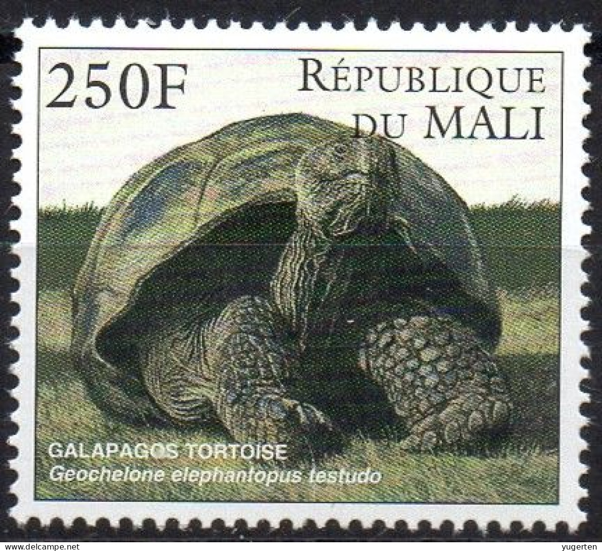 MALI 1997 -1v - MNH - Galapagos Tortoise - Tortue - Turtles - Tortues - Schildkröte - Schildkröten - Tortugas Endangered - Schildpadden