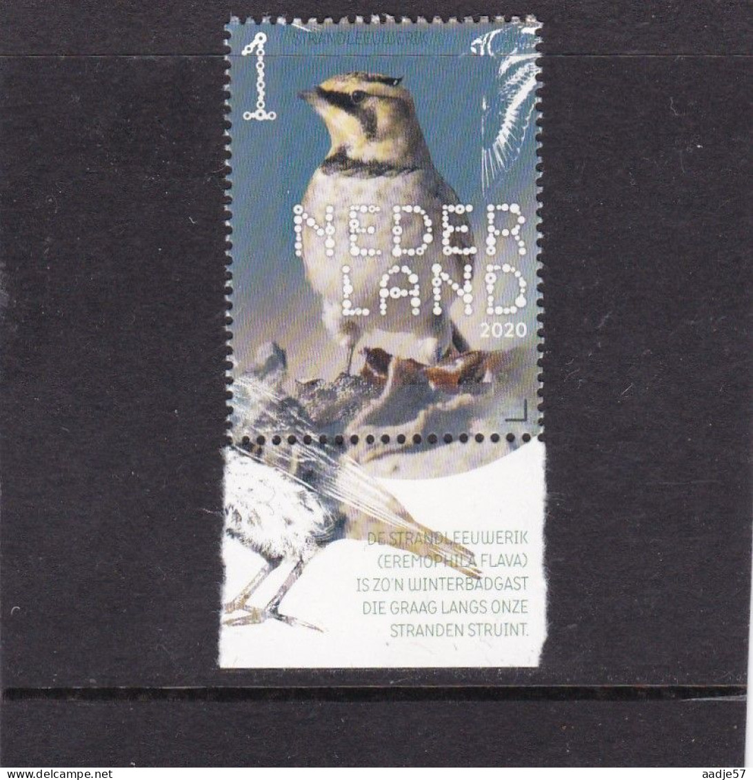 Netherlands Pays Bas 2020 Strandleeuwerik Shore Lark MNH** - Unused Stamps