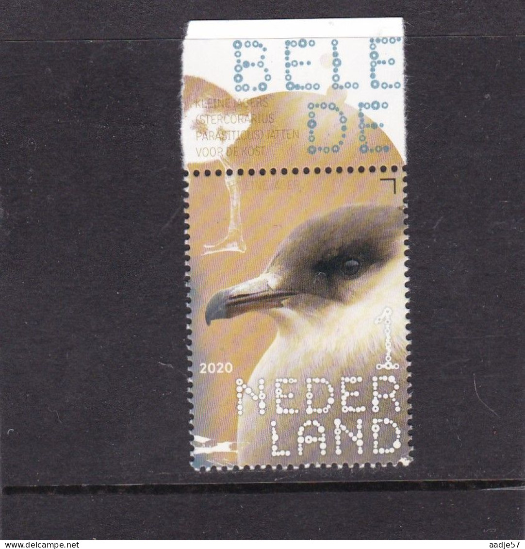 Netherlands Pays Bas 2020 Kleine Moers Small Nuts MNH** - Unused Stamps