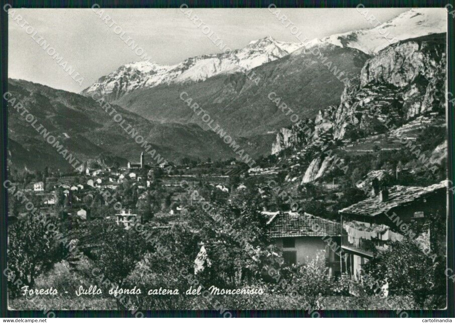 Torino Bussoleno Foresto Foto FG Cartolina ZK2575 - Altri & Non Classificati