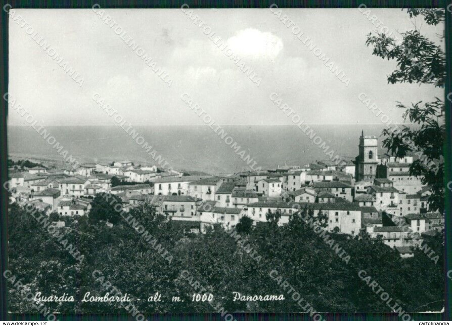 Avellino Guardia Lombardi Foto FG Cartolina ZK3560 - Avellino