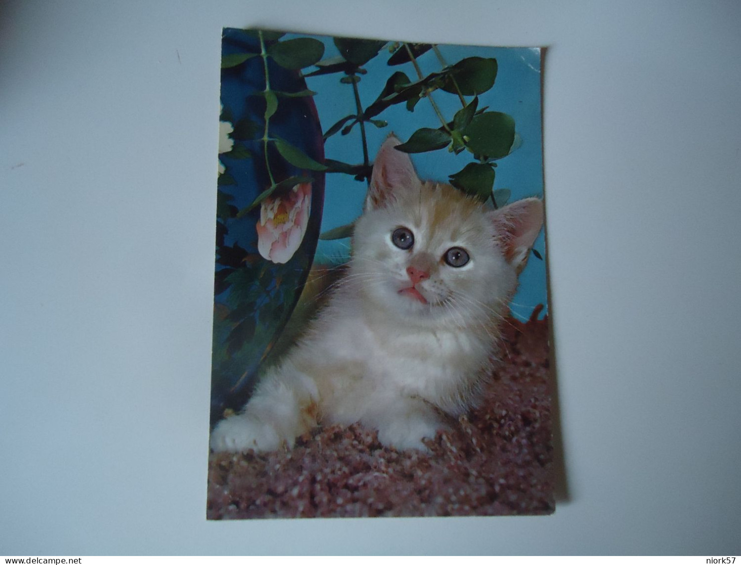 GREECE  POSTCARDS ANIMALS CAT CATS - Cats