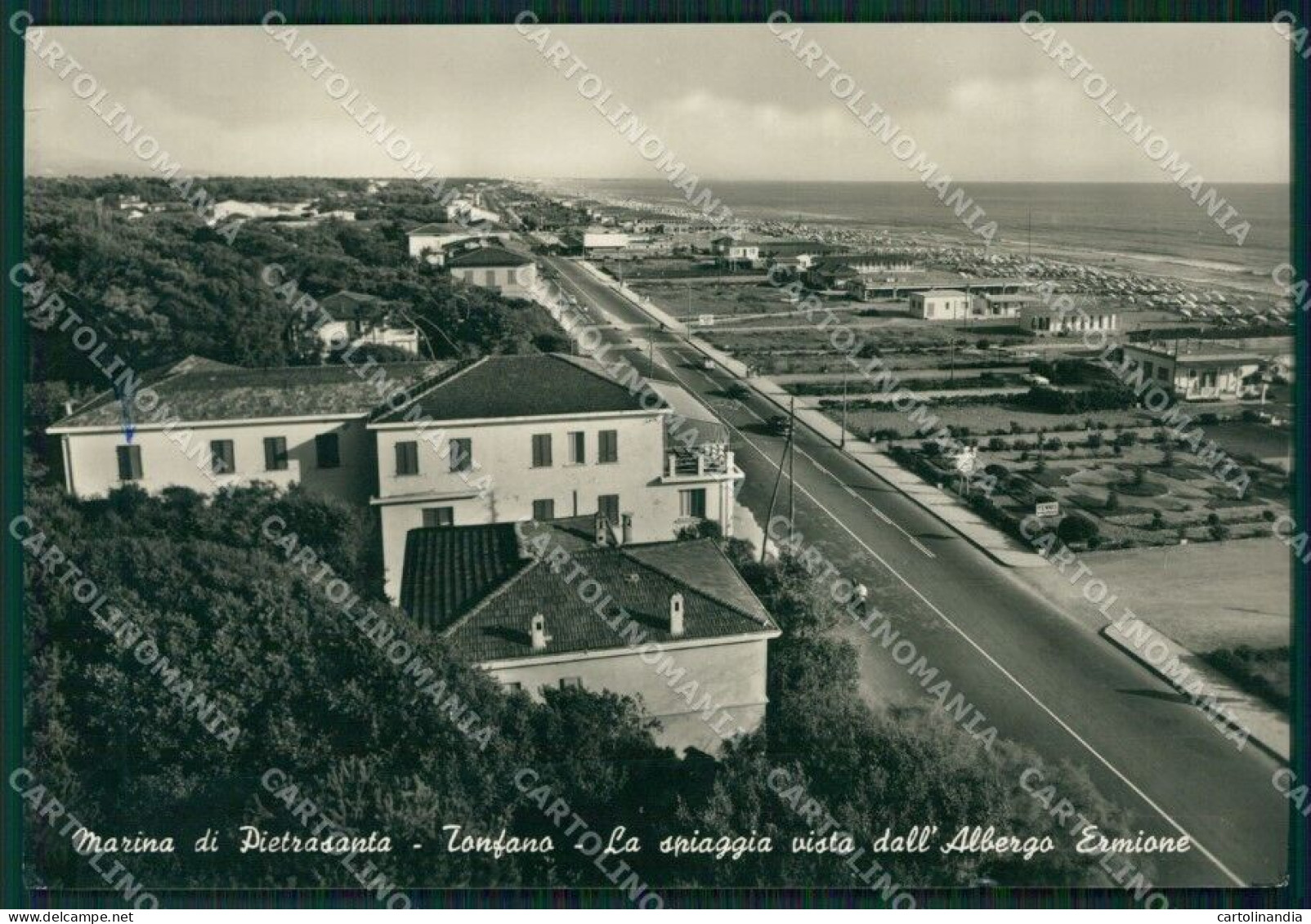 Lucca Pietrasanta Marina Di Tonfano Foto FG Cartolina ZKM8134 - Lucca