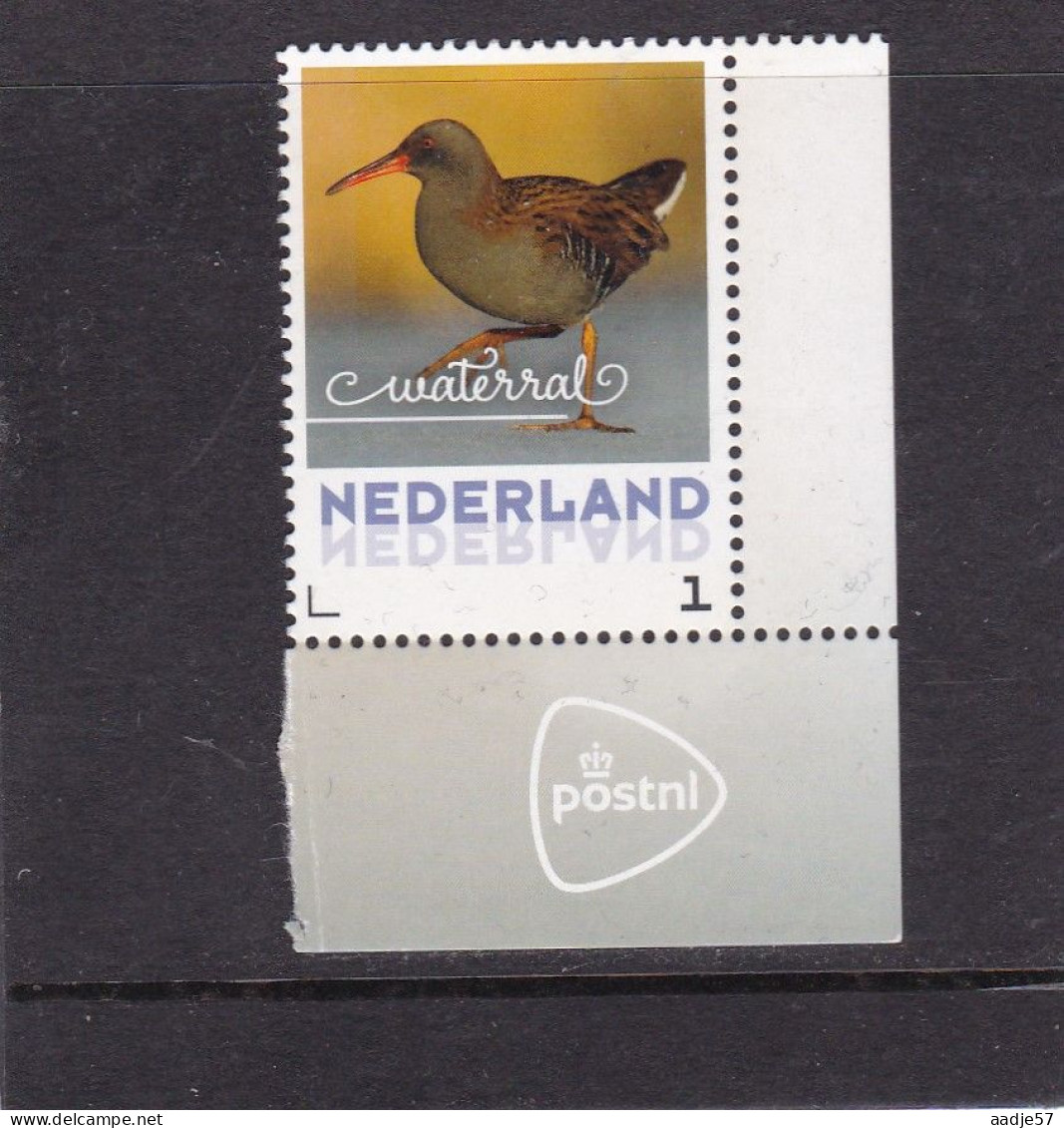 Netherlands Pays Bas 2016 Waterral Water Rail MNH** - Nuevos