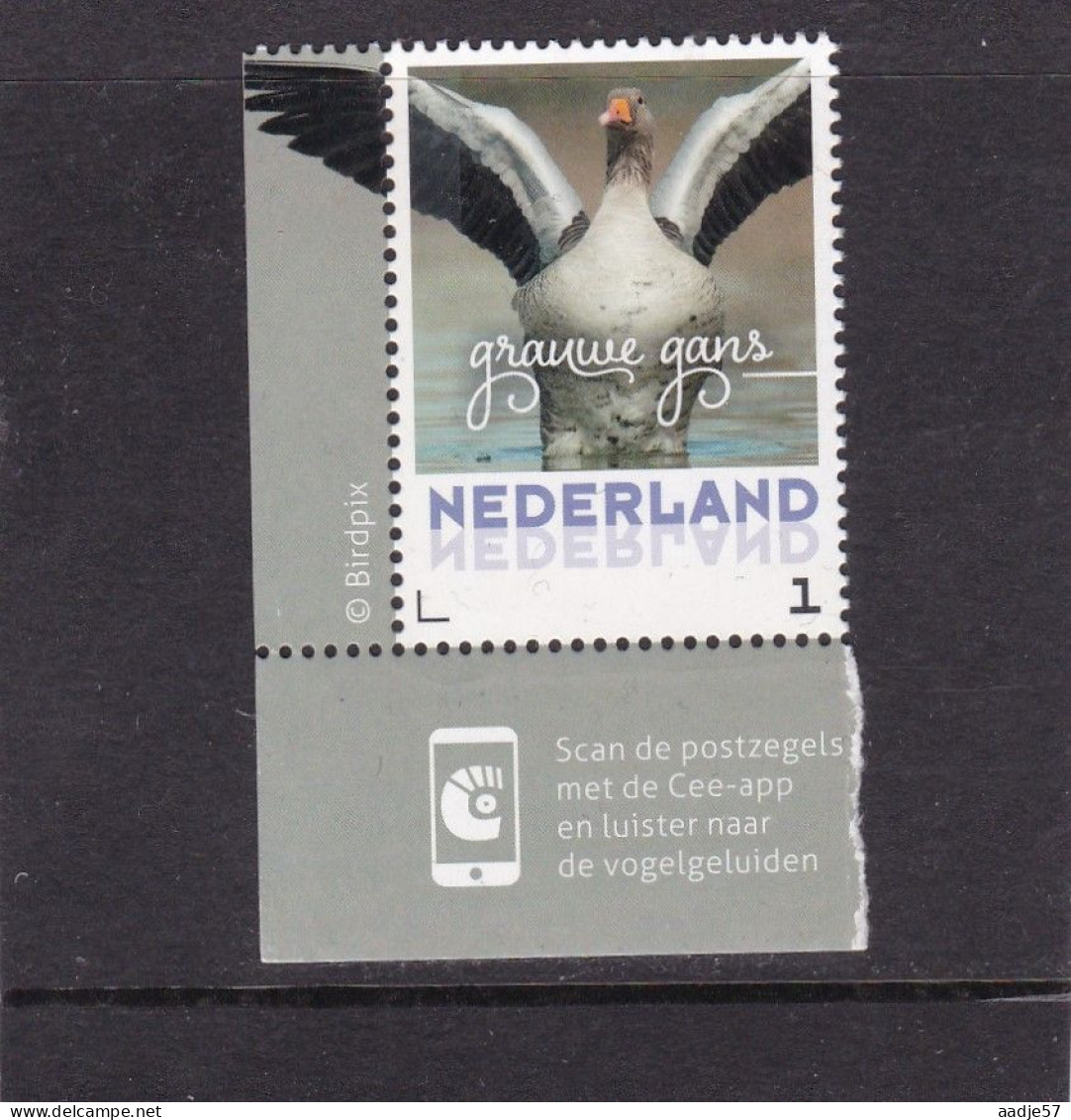 Netherlands Pays Bas 2016 Grauwe Gans Greylag Goose MNH** - Unused Stamps