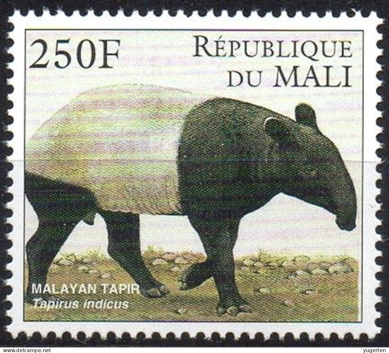 MALI 1997 -1v - MNH - Malayan Tapir (Tapirus Indicus) - Tapiro - Malaysischer Tapir - Endangered - Mammals - Malaysia - Otros & Sin Clasificación