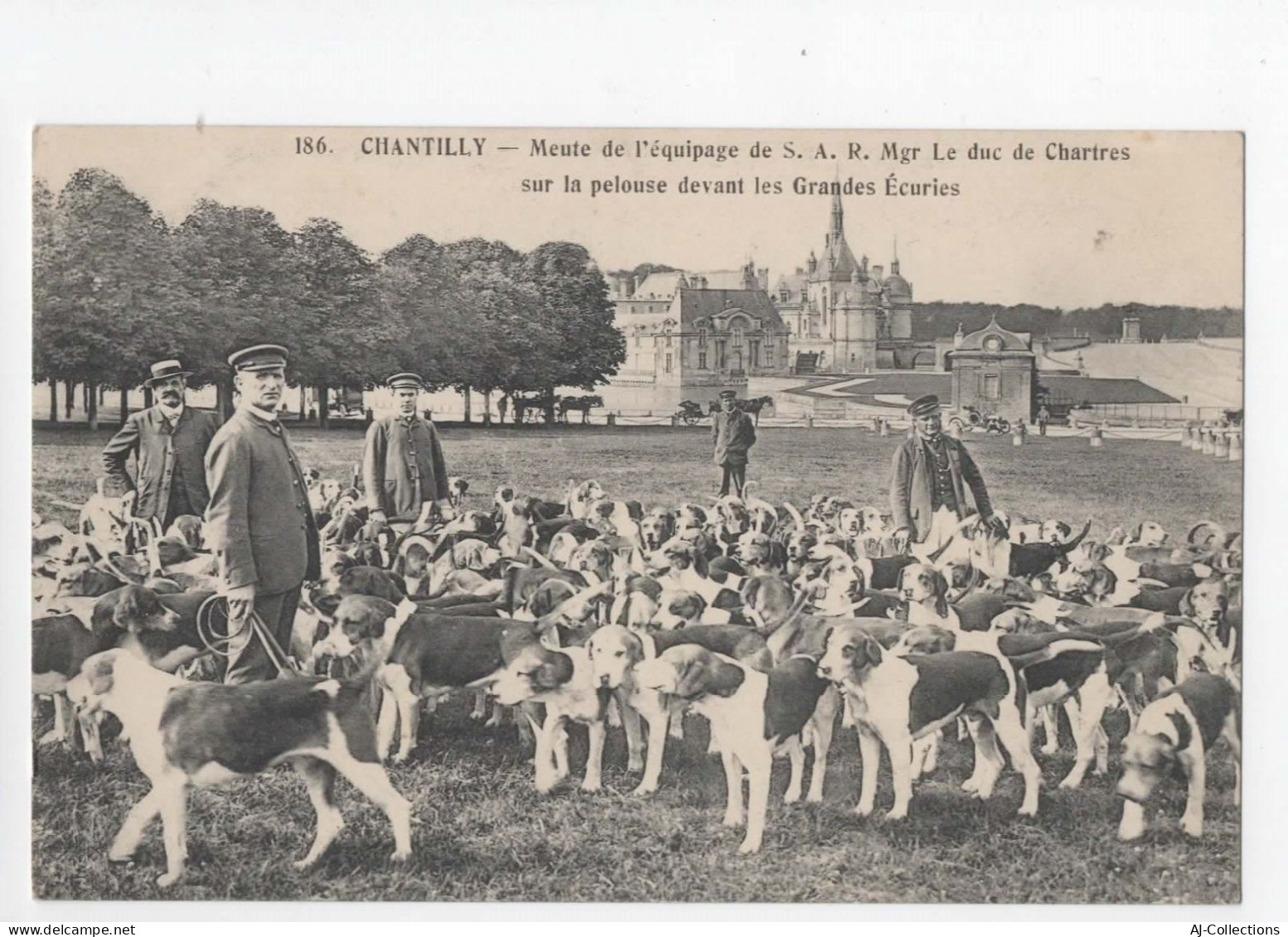 AJC - Chantilly - Meute De L'equipage S A R Mgr Le Duc De Chartres Sur La Pelouse Devant Les Grandes Ecuries - Chantilly