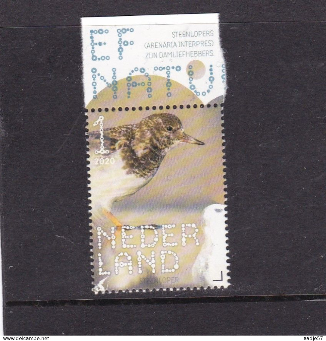 Netherlands Pays Bas 2016 Steenloper Turnstone MNH** - Unused Stamps