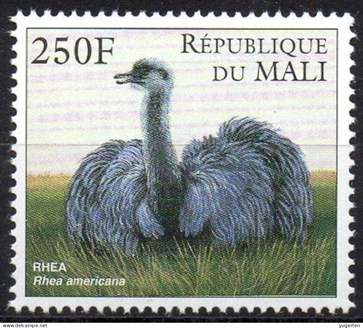 MALI 1997 - 1v - MNH - Ostrich - Ostriches - Autruche Autruches - Oiseaux Aves Vögel Uccelli Flightless Birds Endangered - Gallinacées & Faisans