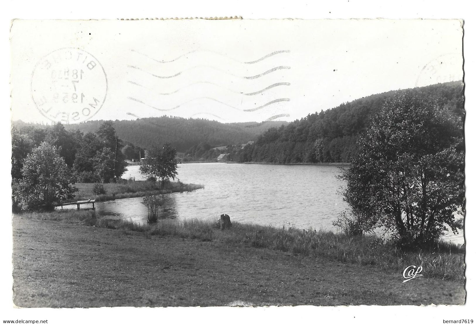 57  Bitche -  Etang De Haspelschied - Bitche