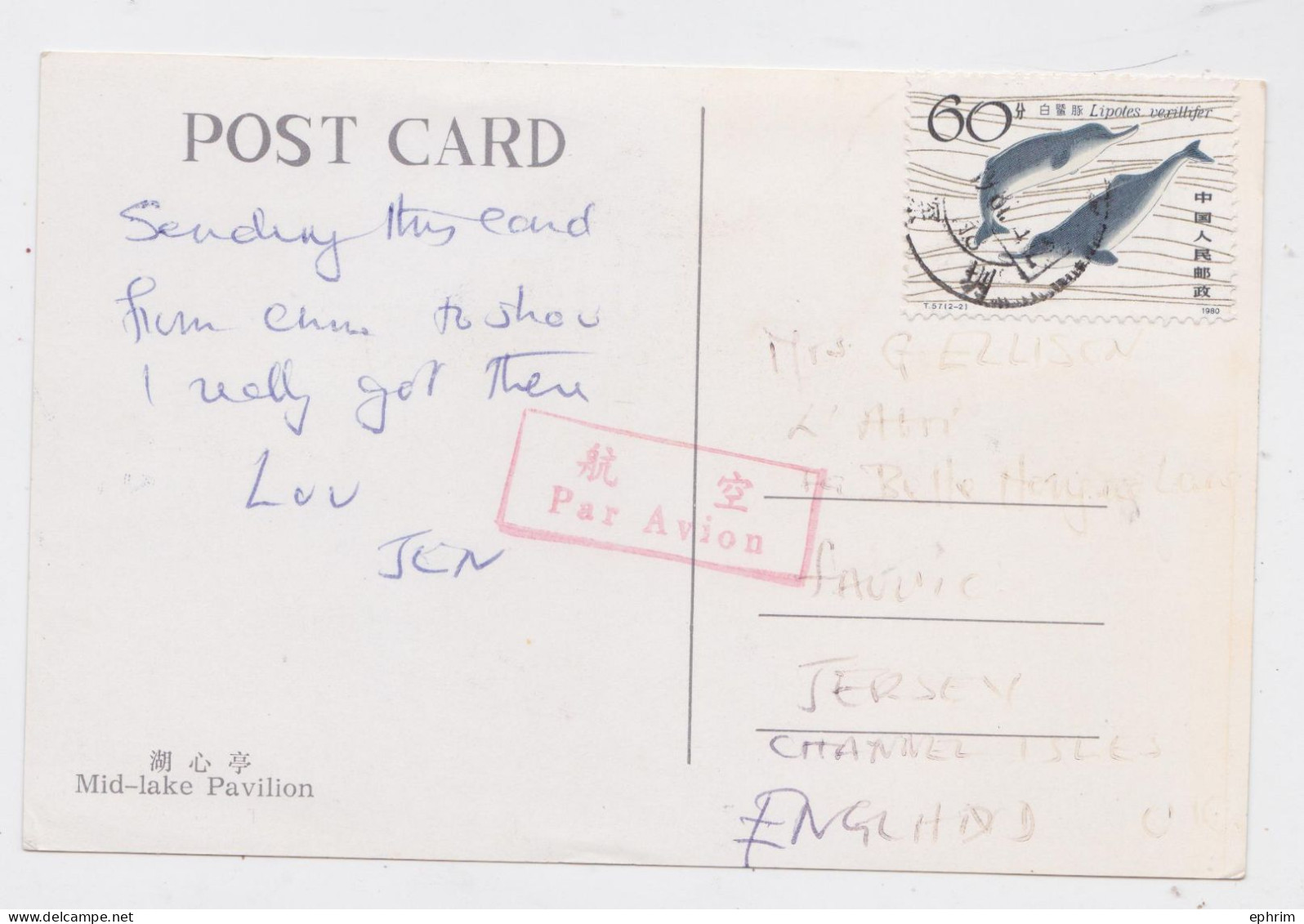 Chine China Carte Postale Timbre Dauphin Dolphin Stamp 1980 Air Mail Postcard - Lettres & Documents