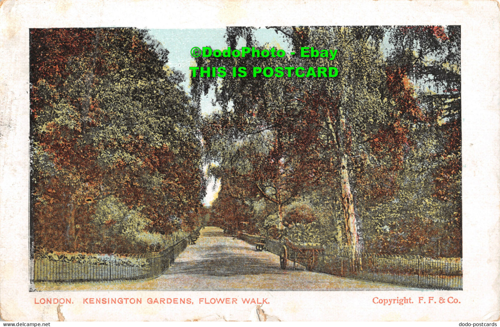 R437175 London. Kensington Gardens. Flower Walk. F. F. 1912 - Other & Unclassified