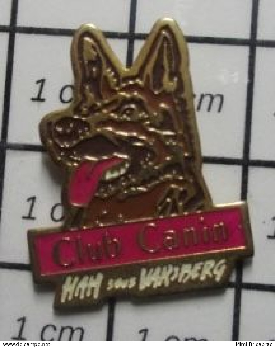 1618B Pin's Pins / Beau Et Rare : ANIMAUX / CHIEN BERGER ALLEMAND CLUB CANIN HAM SOUS VARSBERG - Animali