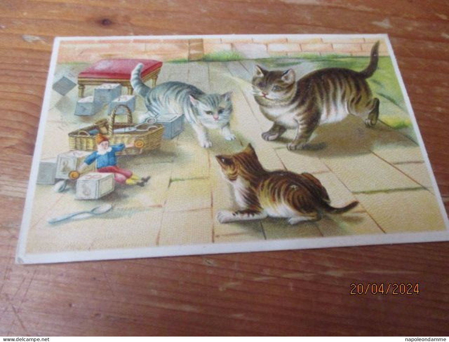 Fantasiekaart Katten - Katzen