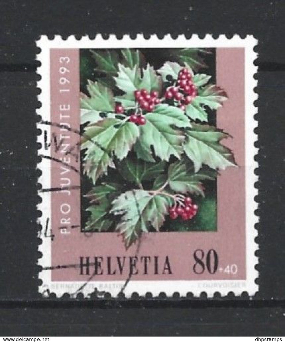 Switzerland 1993 Christmas Y.T. 1442 (0) - Usati
