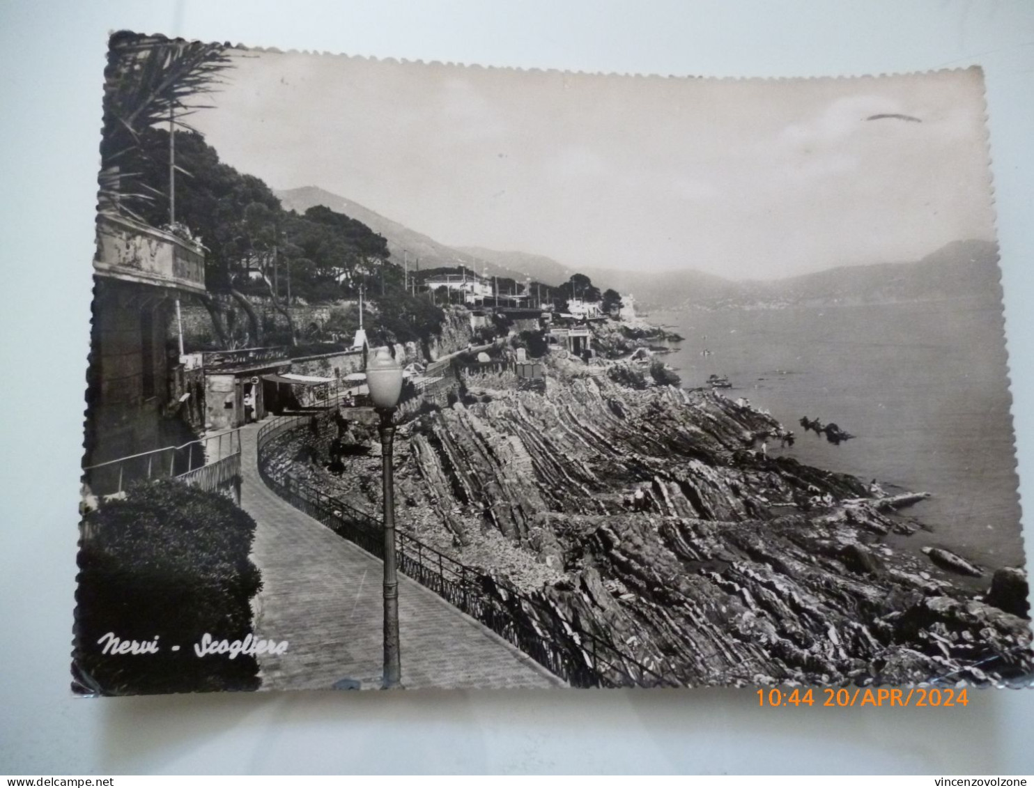 Cartolina Viaggiata "NERVI Scogliera"  1957 - Genova (Genoa)