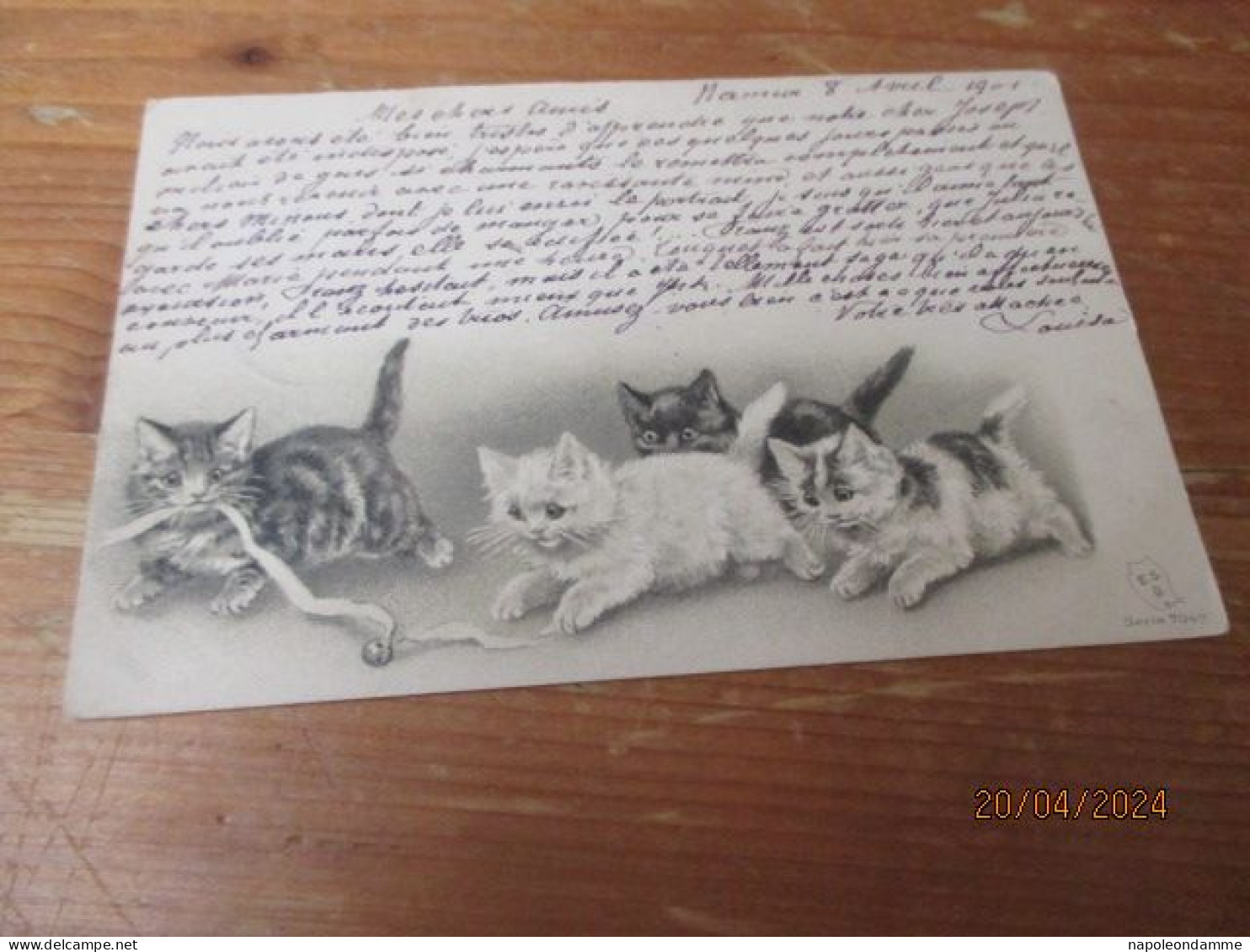 Fantasiekaart Katten - Cats