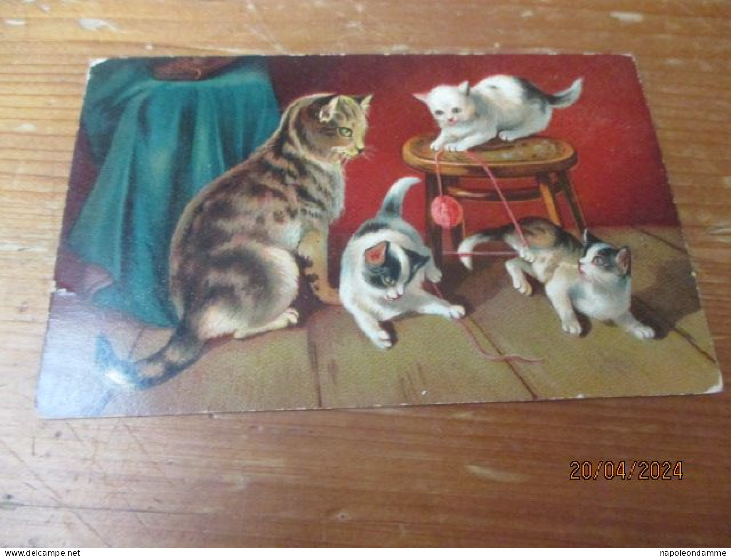 Fantasiekaart Katten - Cats