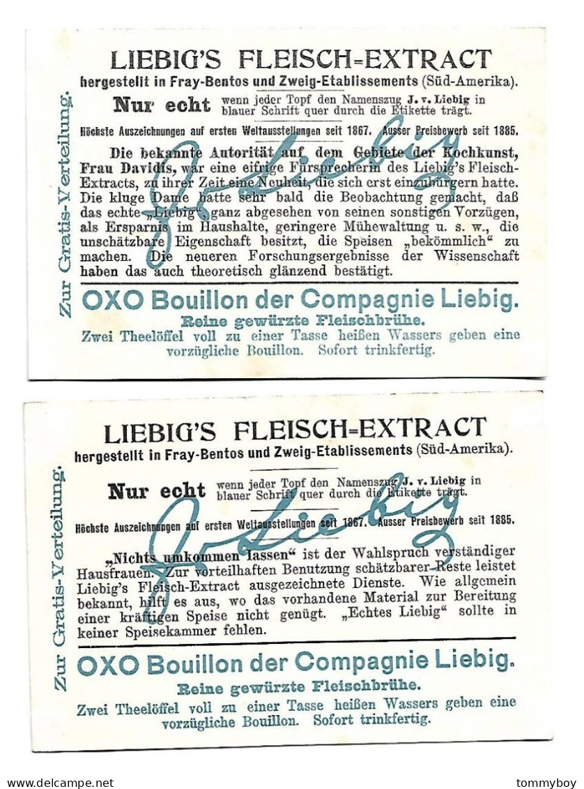 S 845, Liebig 6 Cards,   Bilder Aus Afrika  (German, Some Spots At The Back) - Liebig