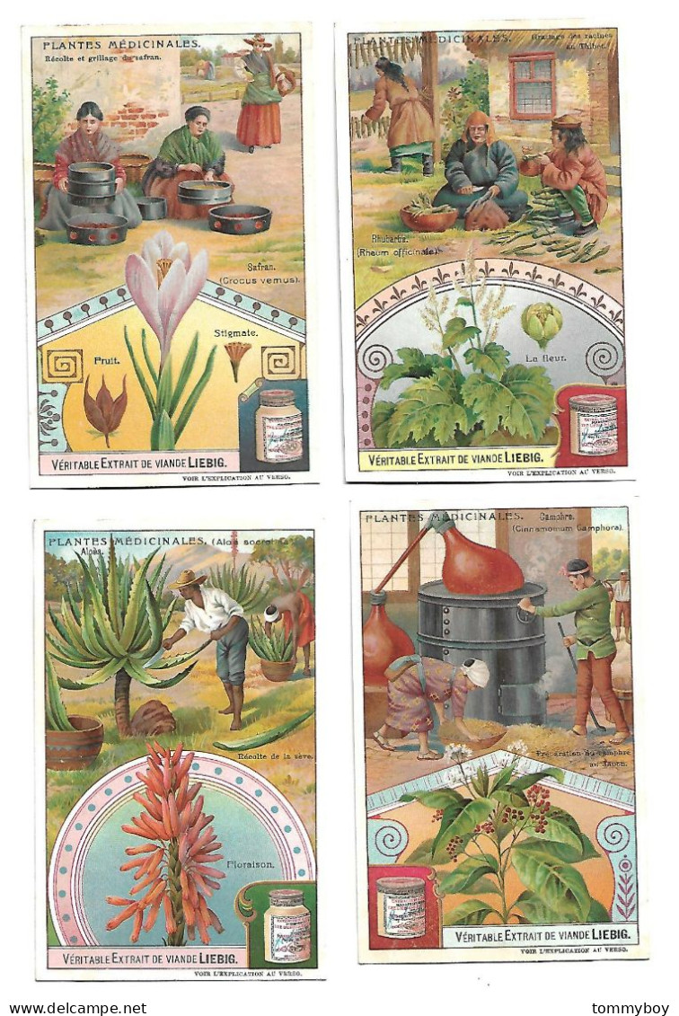 S 906, Liebig 6 Cards, Plantes Médicinales - Liebig