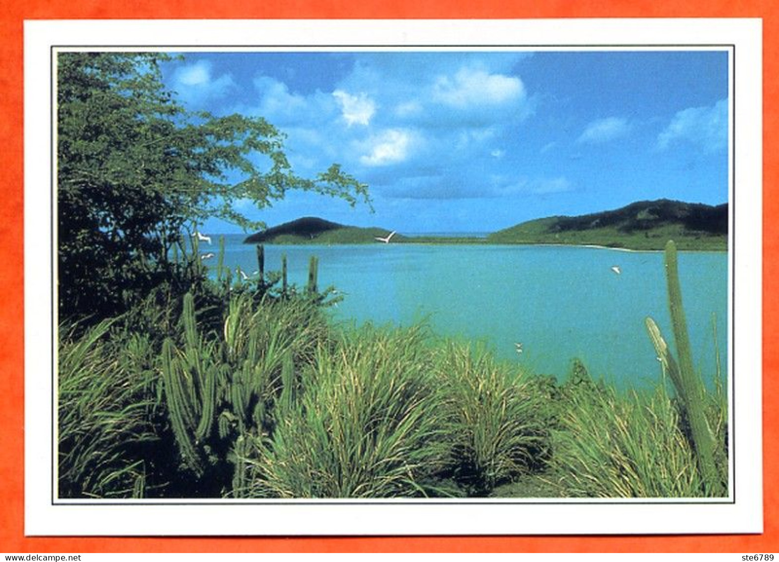ANTILLES  ILES DU VENT Grenadines Ile De Mustique - Geographie