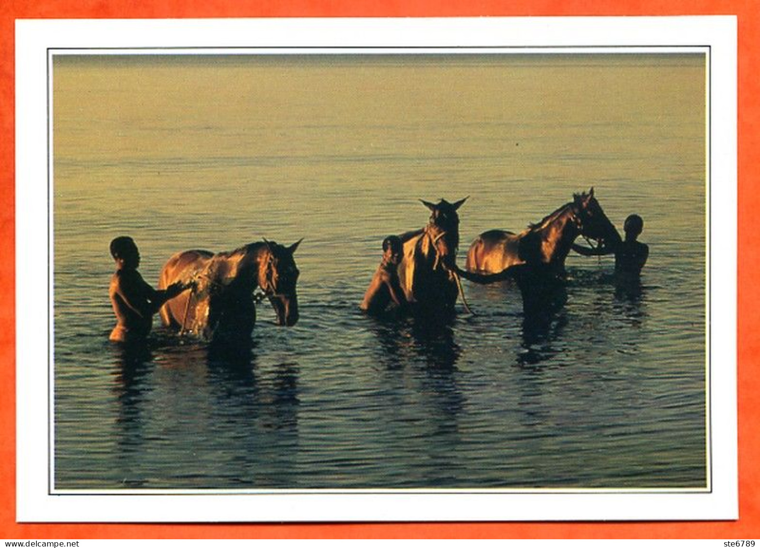 ANTILLES  JAMAIQUE JAMAICA Le Bain Des Chevaux - Géographie