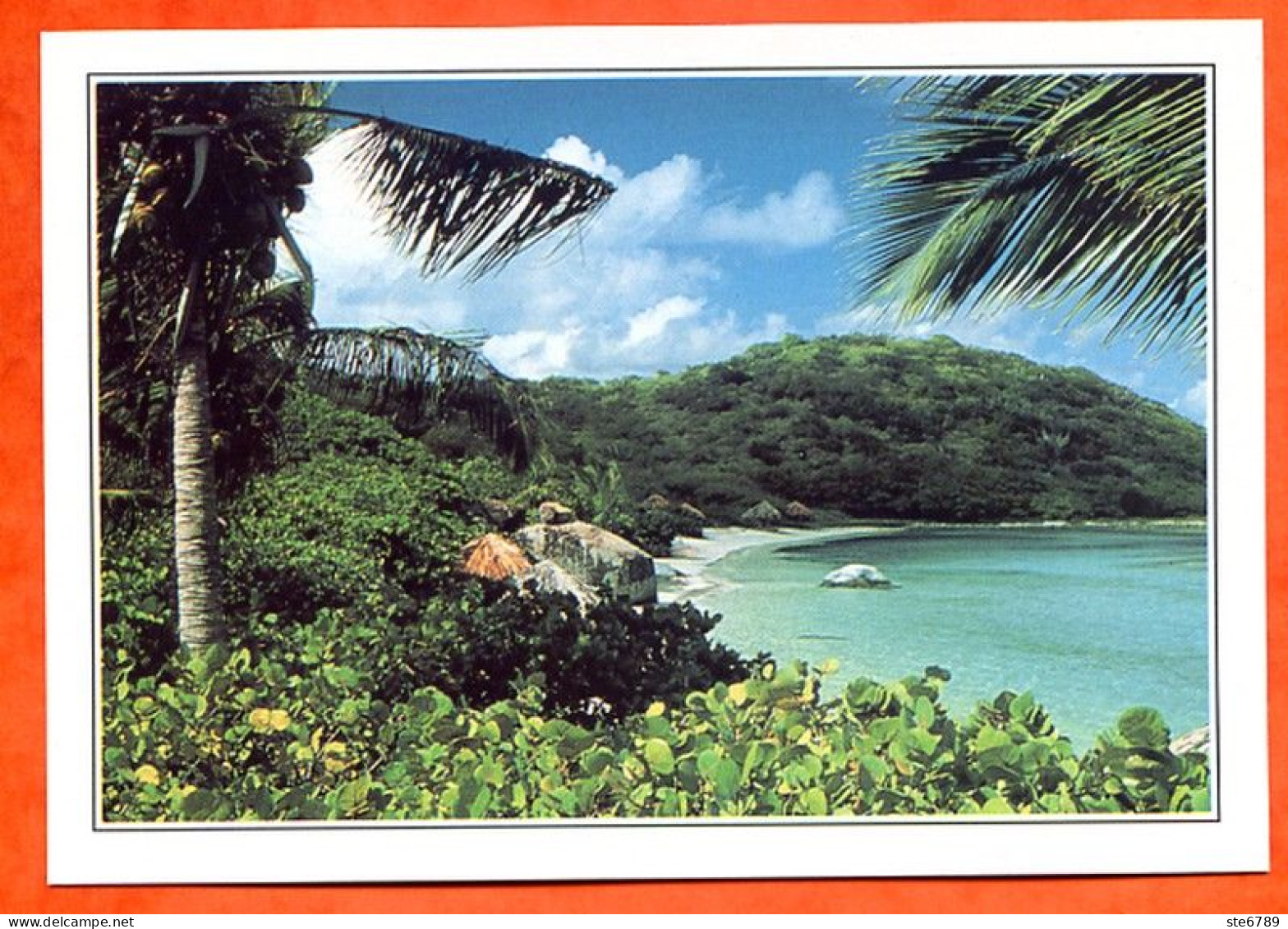 ANTILLES  ILES VIERGES Ile De Gorda - Geographie