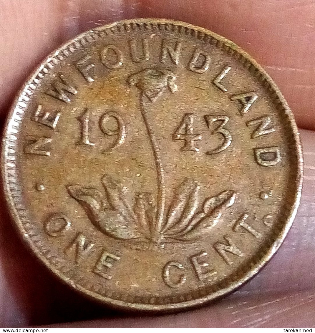 NEW Foundland, 1 CENT, 1943 C, KM# 18, George VI, Perfect, Agouz - Canada